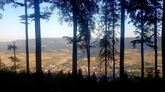 2020-YorBoldairTrail