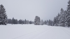 20210101_140137