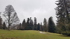 20210131_142008