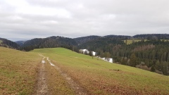 20210131_162434