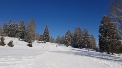 2021-02 BoucleJobert