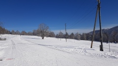 2021-02 BoucleJobert