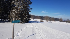2021-02 BoucleJobert
