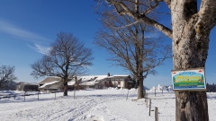 2021-02 BoucleJobert