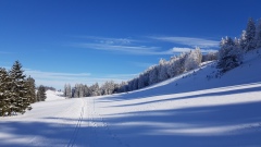2021-02 BoucleJobert