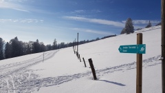 2021-02 BoucleJobert