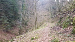 2021-02 Pietch