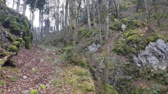 2021-02 Pietch