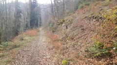 2021-02 Pietch