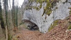 2021-02 Pietch
