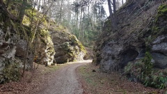 2021-02 Pietch