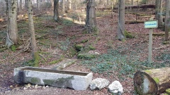 2021-02 Pietch