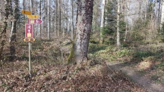 2021-02 VTT721