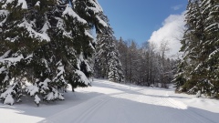 2021-03 Les Genevez