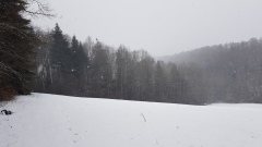 20210314_134733