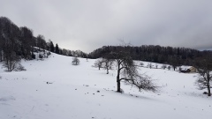 20210314_160502