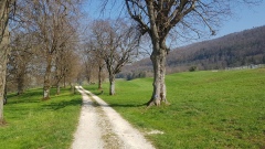 2021-04 Chatillon