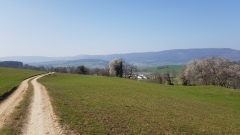 2021-04 Chatillon