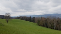 2021-04 ClosDuDoubs