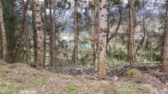 2021-04 ClosDuDoubs