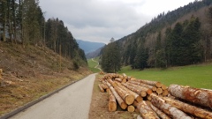 2021-04 ClosDuDoubs