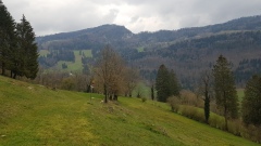 2021-04 ClosDuDoubs