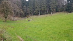 2021-04 ClosDuDoubs