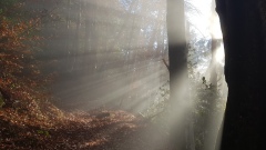 20211121_100836