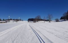 photo_intro