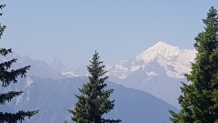 2022-06 Aletsch