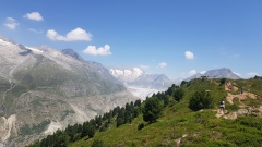 2022-06 Aletsch