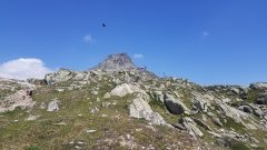 2022-06 Aletsch