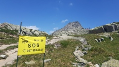 2022-06 Aletsch