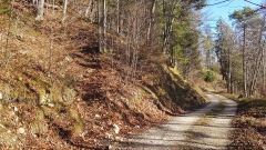 2023-01 Werdtberg