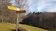 2023-01 Werdtberg