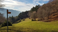 2023-01 Werdtberg