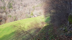 2023-01 Werdtberg