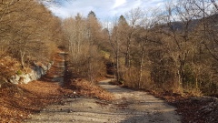 2023-01 Werdtberg