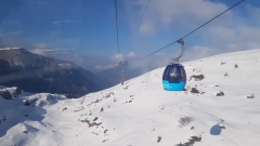 2023-03 MelchseeFrutt