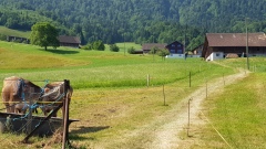 2023-06 Stanserhorn