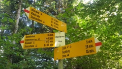 2023-06 Stanserhorn