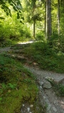 2023-06 Stanserhorn