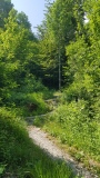 2023-06 Stanserhorn