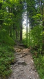 2023-06 Stanserhorn