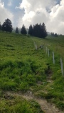 2023-06 Stanserhorn