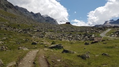 2023-07 Zermatt