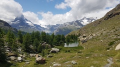 2023-07 Zermatt