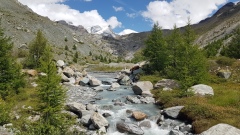 2023-07 Zermatt