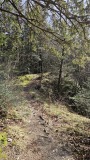 2024-02 LesRoches 