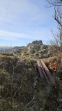 2024-02 LesRoches 